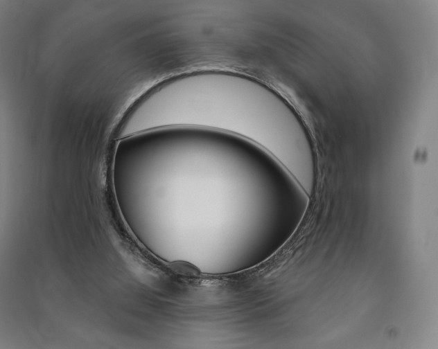 X0000091500060200708161242