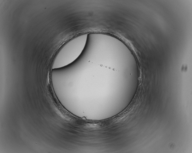 X0000091500061200708161242