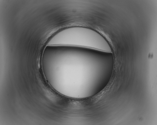 X0000091500062200708161242