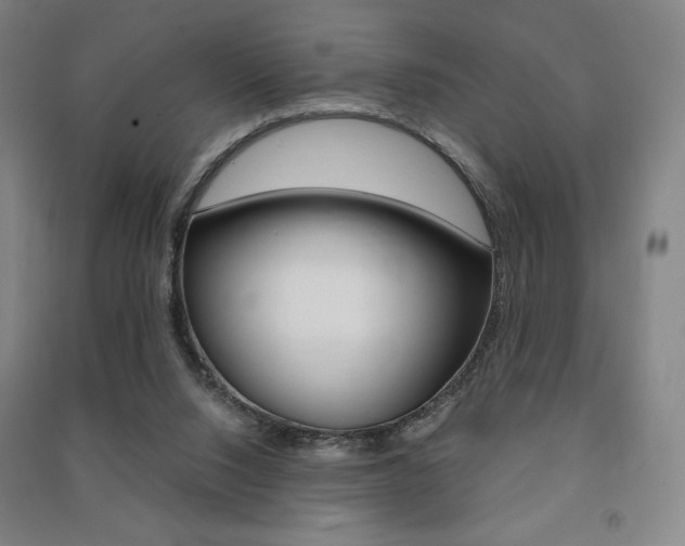 X0000091500064200708161242