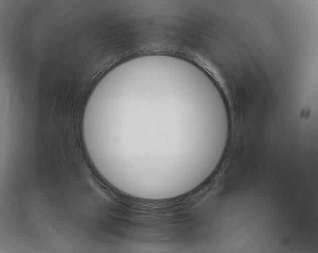 X0000091500065200708161242