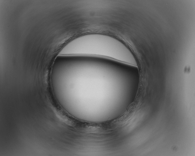 X0000091500066200708161242