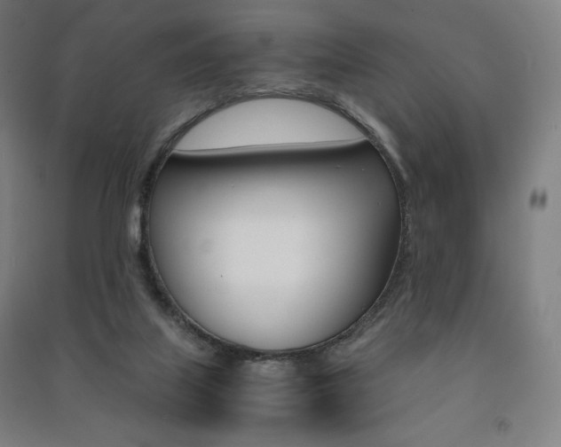 X0000091500067200708161242