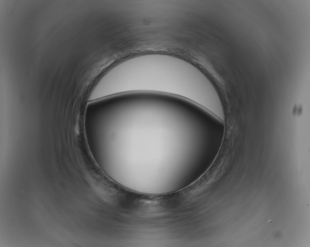 X0000091500068200708161242
