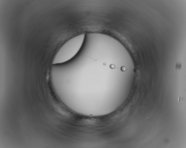 X0000091500069200708161242