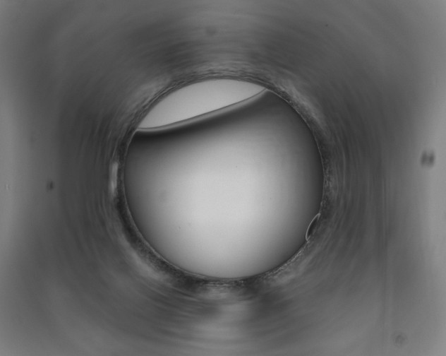 X0000091500070200708161242