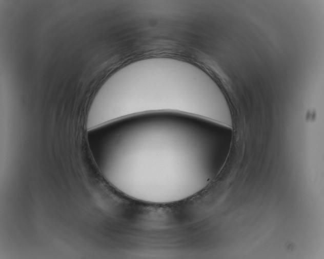 X0000091500073200708161242