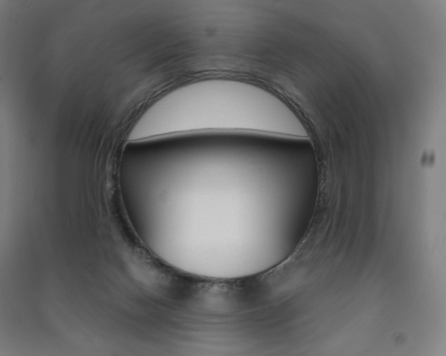 X0000091500074200708161242