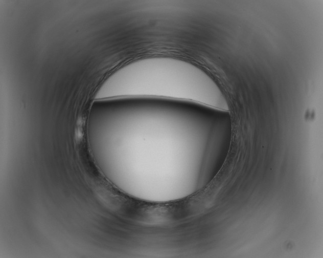 X0000091500075200708161242