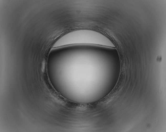 X0000091500076200708161242