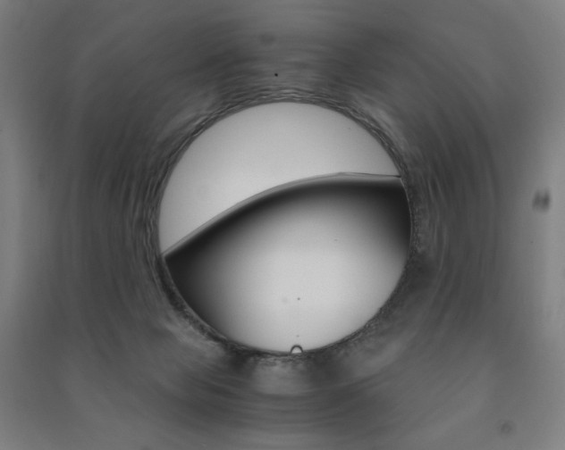 X0000091500077200708161242