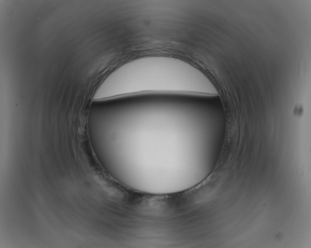 X0000091500078200708161242