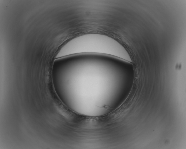 X0000091500080200708161242