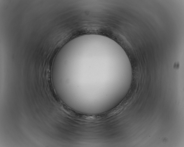 X0000091500083200708161242