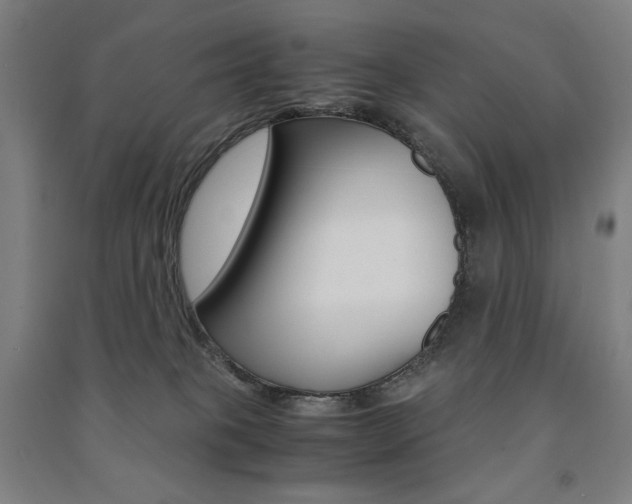 X0000091500085200708161243