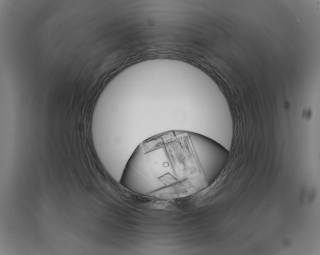 X0000091500086200708161243