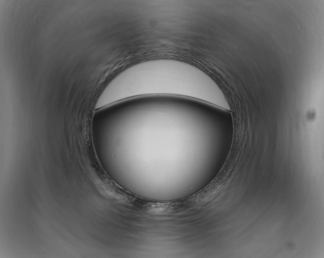 X0000091500088200708161243