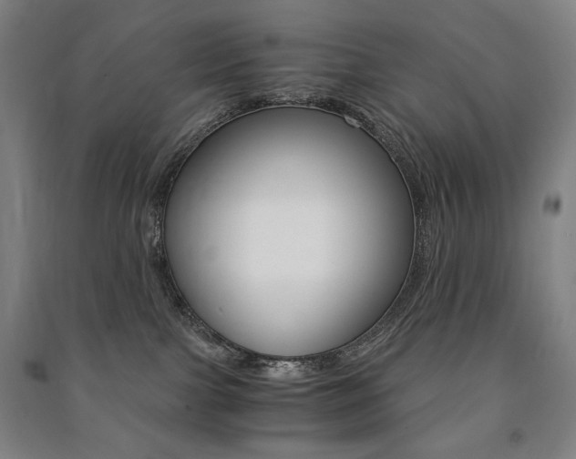 X0000091500091200708161243