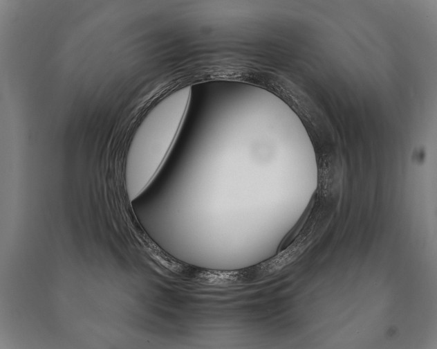 X0000091500093200708161243