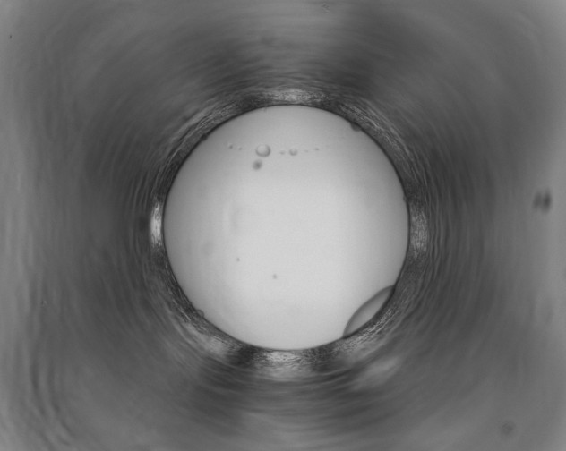 X0000091500095200708161243