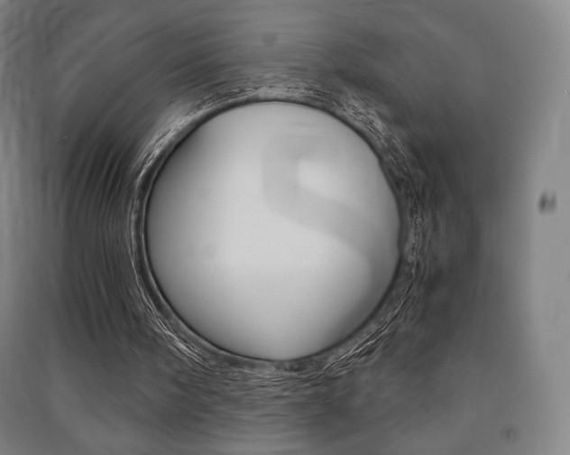 X0000091500098200708161242