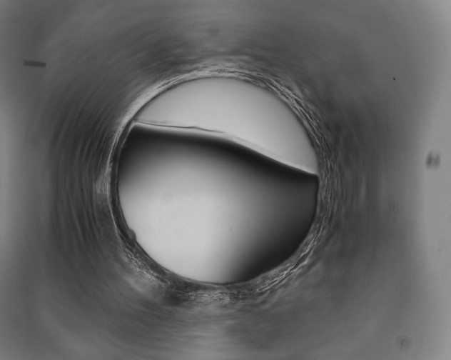 X0000091500100200708161242