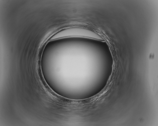 X0000091500101200708161242