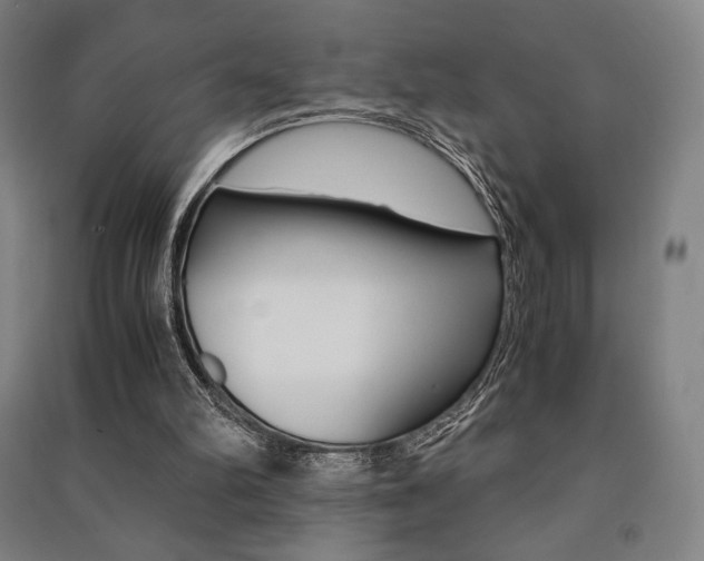 X0000091500102200708161242