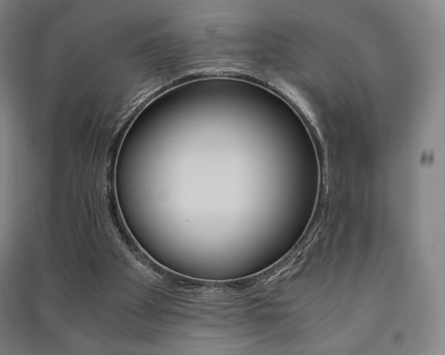 X0000091500105200708161242