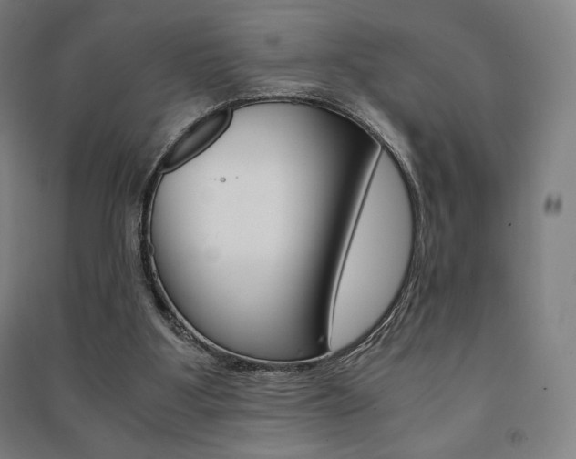 X0000091500107200708161242