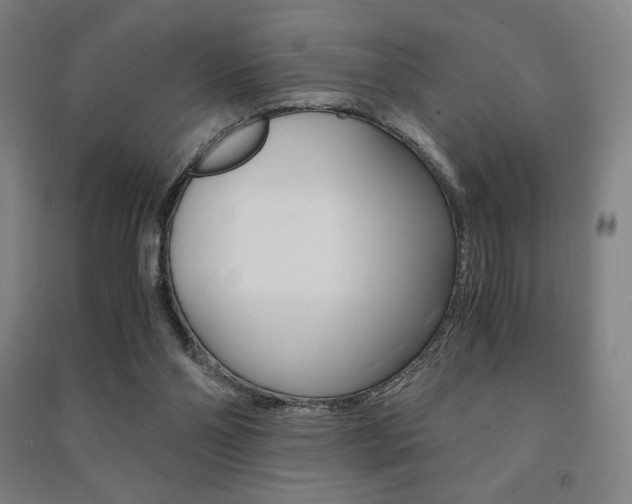 X0000091500110200708161242