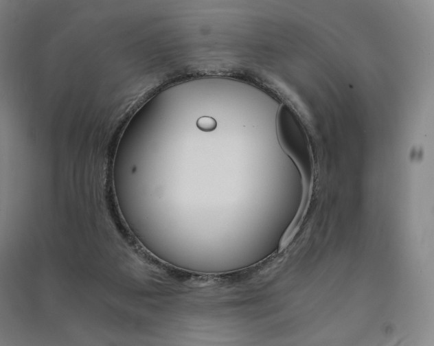 X0000091500113200708161242
