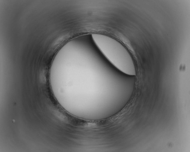 X0000091500114200708161242