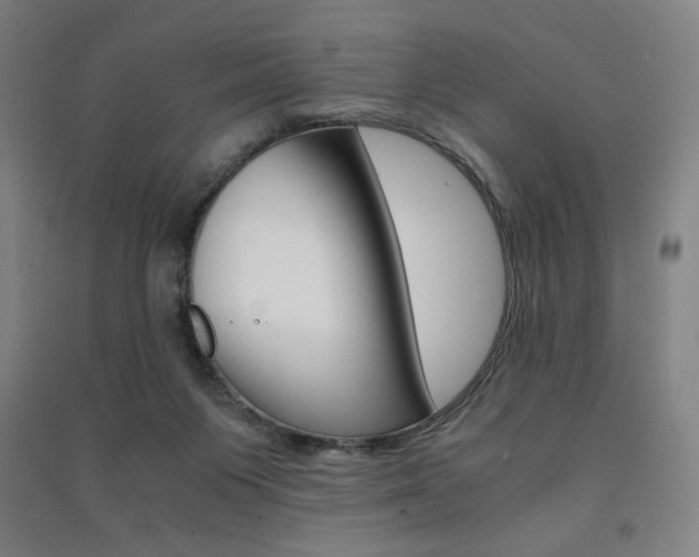 X0000091500119200708161242
