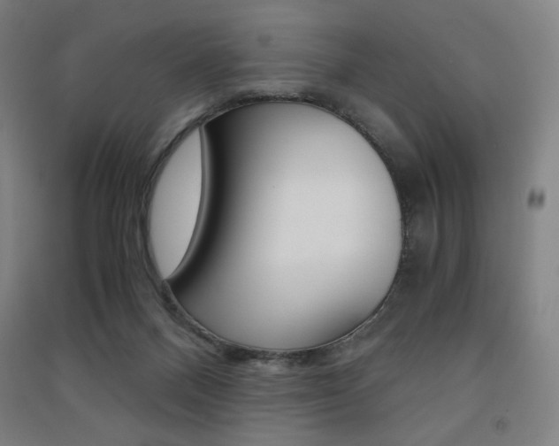 X0000091500120200708161242
