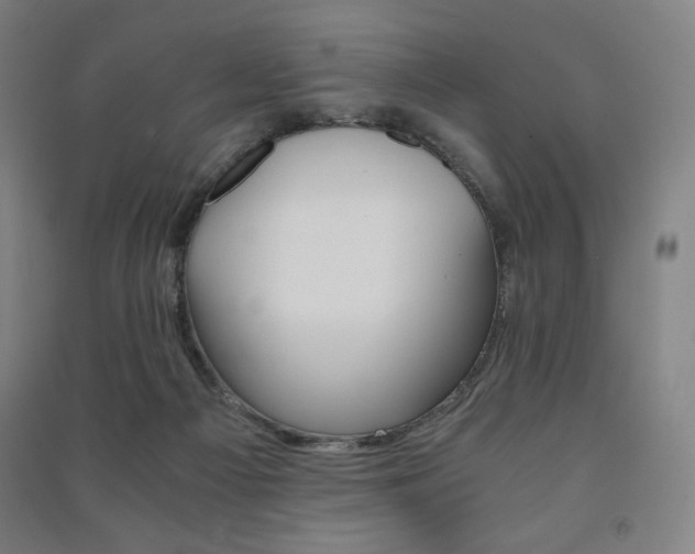 X0000091500121200708161242
