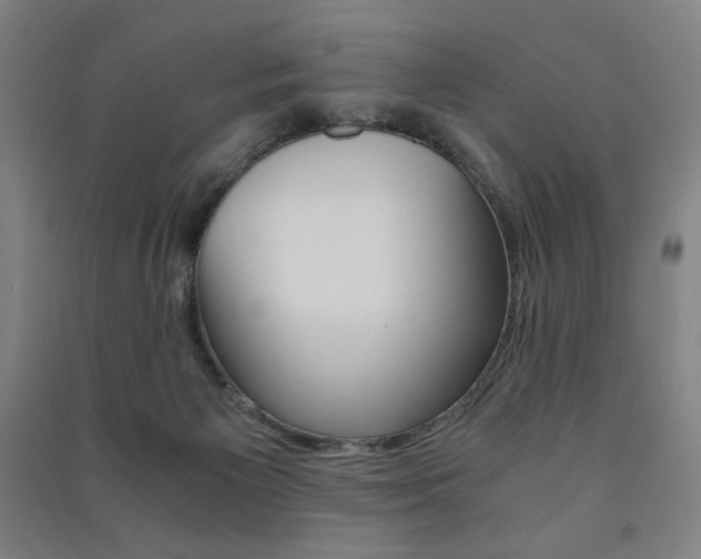 X0000091500125200708161242