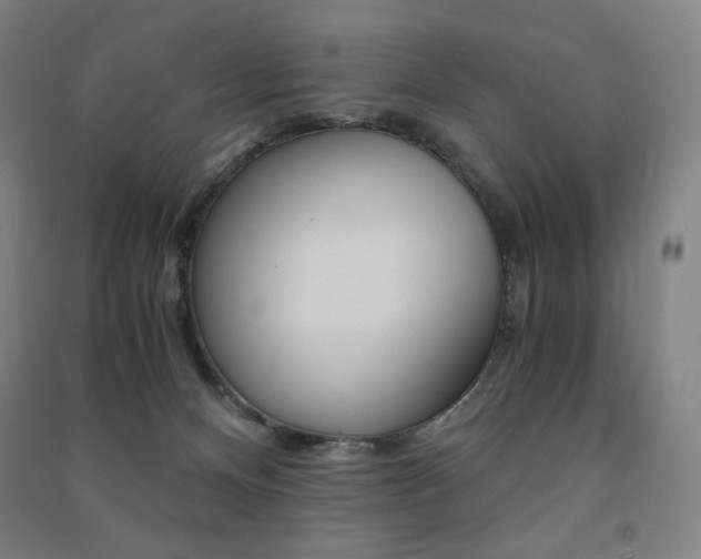X0000091500128200708161241