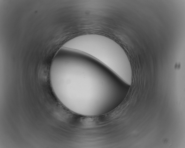 X0000091500129200708161241