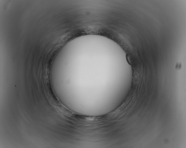 X0000091500130200708161241