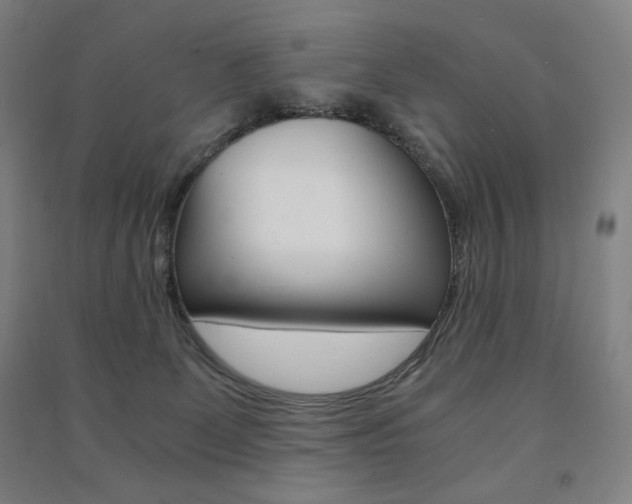 X0000091500131200708161241