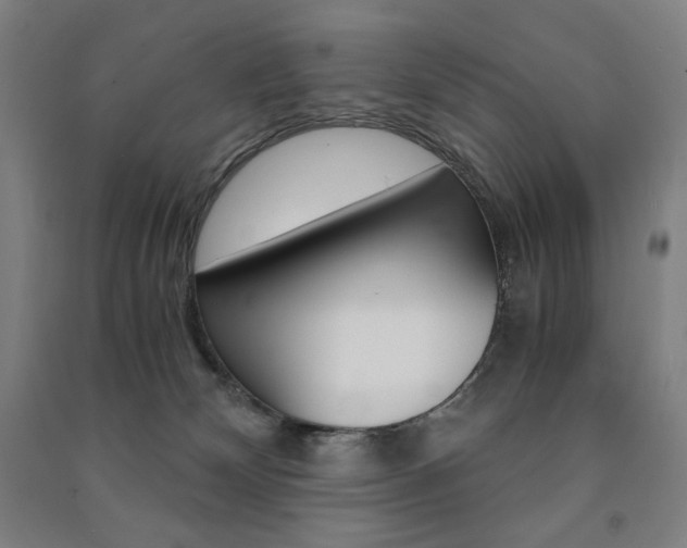 X0000091500132200708161241