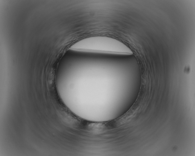 X0000091500133200708161241