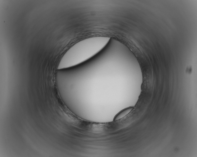 X0000091500134200708161241