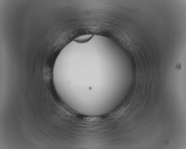 X0000091500135200708161241