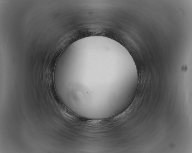 X0000091500136200708161241