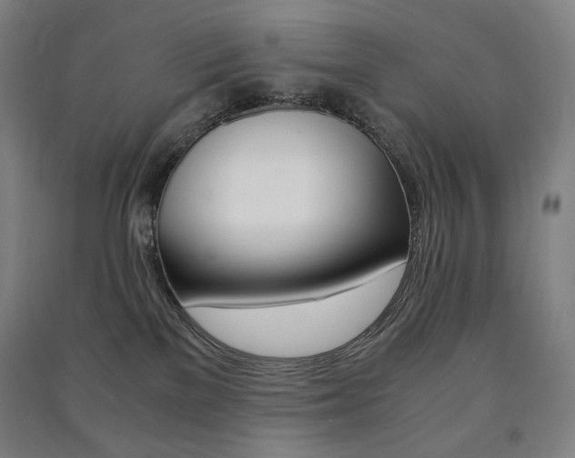 X0000091500137200708161241