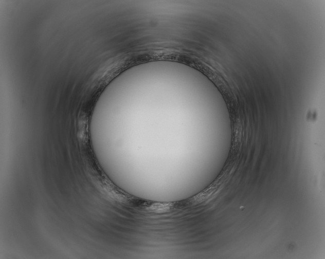 X0000091500138200708161241
