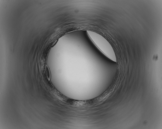 X0000091500139200708161241