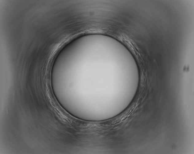 X0000091500145200708161241